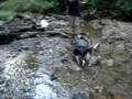 videos de Callie's Favorite Spot