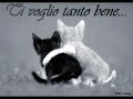 ciò k nn ti ho mai dtt ciò k nn ti ho mai dtt