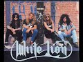 White lion-Cherokke
