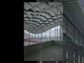 CA ACADEMY OF SCIENCES A Preview Look with Seán Martinfield
