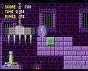 Sonic Challenge #9: House Cleaning