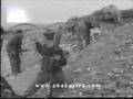 Adige- Abhazya için savaşan Adige ve Kabardey'ler