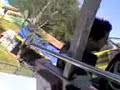 bat flyer