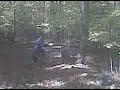 Man Puts Tree Out of Its Misery Part I