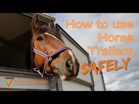 how to hitch a horse trailer