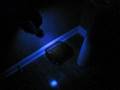 Scorpion revealed under a Black Light