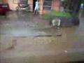 CAMALIG FLOOD