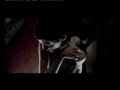 Erre que erre DIVADLO Vídeo-Danza