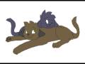 Warriors Cats