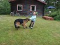 Vem �r starkast av Orry och Joel?