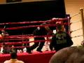 Golden Leg Knockout By Julian for Lorna