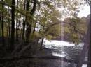 A Walk in Autumn Woods with Mozart