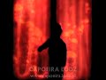 Capoeira Łódź