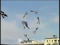 The Decorators - Revolution kite team - 6 kites - berck08