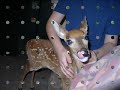 Dear Deer