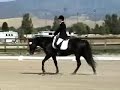 Bluebird Royal Heir Dressage Test