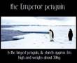 Antarctica