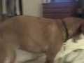 Missy sneeze