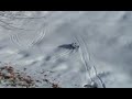 18R Snow Driving