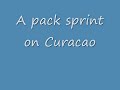 Curacao pack sprint