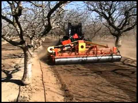 how to harvest pistachios at home