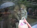 battle-at-kruger.html