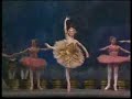Darcey Bussell - La Bayadere
