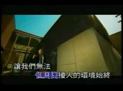 不得不爱