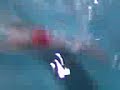 Alex Strelkov 200 mts Pecho