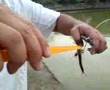The New Power Bait. This is Stressful fishing...
