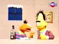 videos de bernie und ert