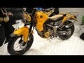 Yamaha XTW250 RYOKU Off-trail Camping Motorbike #DigInfo