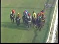 GRANDE PRÊMIO LUIZ FERNANDO CIRNE LIMA - (GR.III) - SP - 5/7