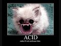 BEST VID EVA!!!!! BEST VID EVA!!!!!