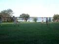 bachi-futbol-club-ja