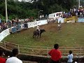 jaripeo en guerrero jaripeo en guerrero