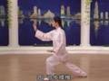 Taichi 24 forms part 2 a - Tai Chi