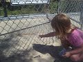 Jessica vs. lizard