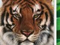 Photoshop CS3 Tutorial- Black and White but Color Eyes