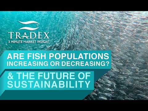 3MMI - Ocean Optimism: Are Fish Populations Increasing or Decreasing?