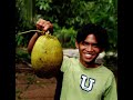 Pictures of Sulawesi, Indonesia