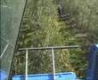zeytin hasat makinas� 2