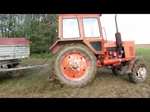Mtz82 -