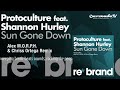 Protoculture feat. Shannon Hurley - Sun Gone Down (Alex M.O.R.P.H.&Chriss Ortega Remix)