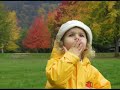 .flv