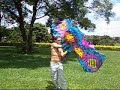 Cello Flagger: Dia de sol