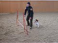 Zip, tr�nink na Hv?zd?, zima 2006