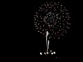 4th of July Fireworks 4th of July Fireworks