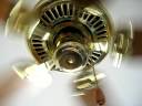 Craftmade Decorative 42\ Craftmade Decorative 42\