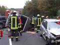 Rettung eines verunfallten Pferdes